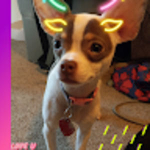 Meet your Posher, Trinity